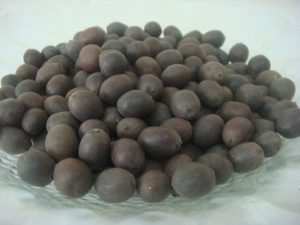 Công thức làm hạt sen khô ăn liền tại nhà Công thức làm hạt sen khô ăn liền tại nhà