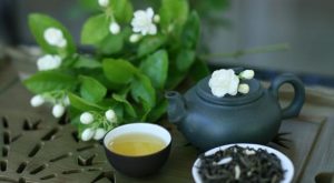tác dụng của trà hoa nhài tác dụng của trà hoa nhài