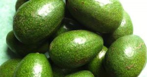5 đặc điểm chọn trái bơ sáp ngon 5 đặc điểm chọn trái bơ sáp ngon