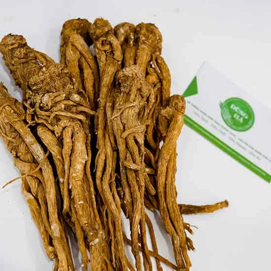 Đương quy chất lượng