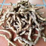 Cách để nhận biết củ ba kích có chất lượng tốt nhất?