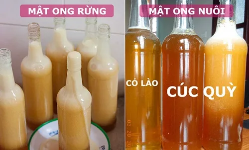 phân biệt mật ong rừng và mật ong nuôi