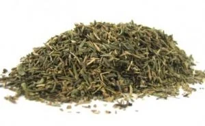 Khám phá những lợi ích của lá thyme bất ngờ cho sức khỏe