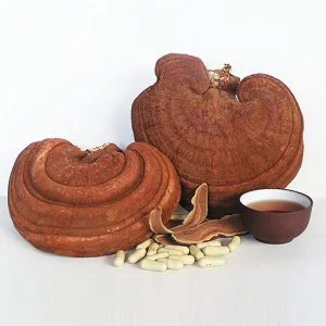 Bật mí cách sử dụng nấm linh chi như thế nào đạt hiệu quả nhất