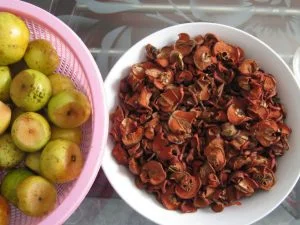 Khám phá ngay tác dụng của táo mèo khô Tây Bắc chữa được nhiều bệnh