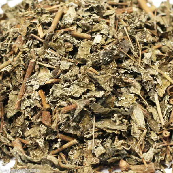 Chè dây cao bằng bán ở đâu tại Hà Nội