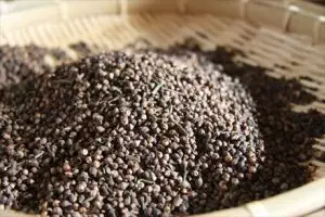 Cách pha trà nụ vối khô như thế nào? Uống nụ vối giảm cân an toàn