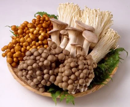 cac loai nam chua dau da day