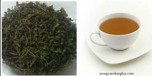 Cách sử dụng trà giảo cổ lam hiệu quả, phát huy tác dụng tuyệt vời