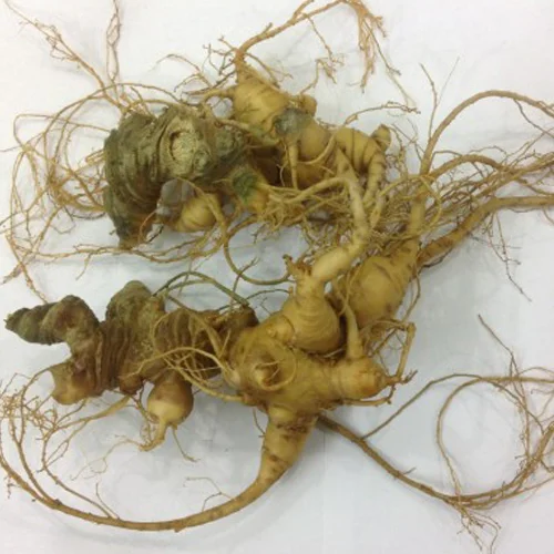 re tam that thao duoc ngam ruou