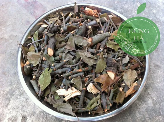 thao duoc ngam ruou tam gui