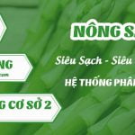 Địa chỉ sỉ rau củ quả sạch Đà Lạt tại Hà Nội uy tín