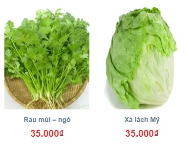 gia ban rau xa lach my