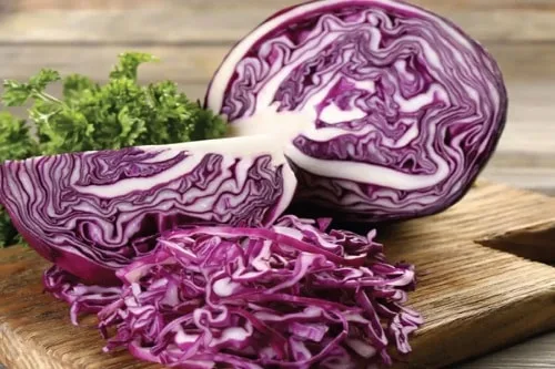 bắp cải tím