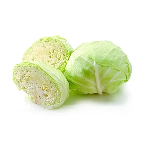 bắp cải trắng sapa