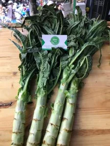 Món ăn rau rừng mùa lạnh tung hoành khắp các nhà hàng, siêu thị nổi tiếng