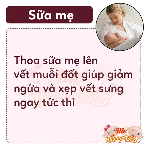 lam mo vet muoi dot