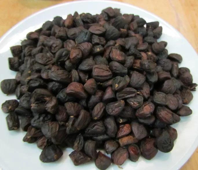 hat doi rung kho ngay tet