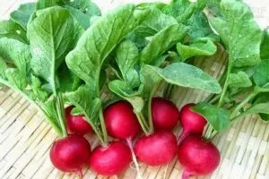 Top 4 món ăn từ củ cải đường thơm ngon bổ dưỡng