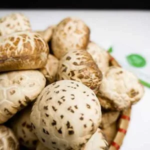 Mua các loại hạt khô và thực phẩm khô trong nấu ăn giá rẻ nhất