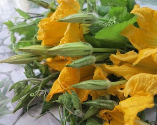 Bông bí – loại rau đặc biệt cùng top món ăn ngon
