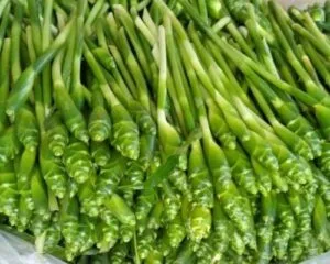 Top món ăn từ bông gừng xanh đất Bắc Hà nhất định phải thử