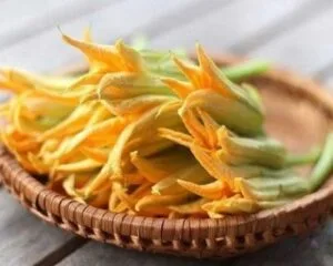 Bông bí và tác dụng vô cùng tuyệt vời của bông bí
