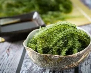 Qùa tặng từ thiên nhiên – lợi ích của rong nho vô cùng tuyệt vời