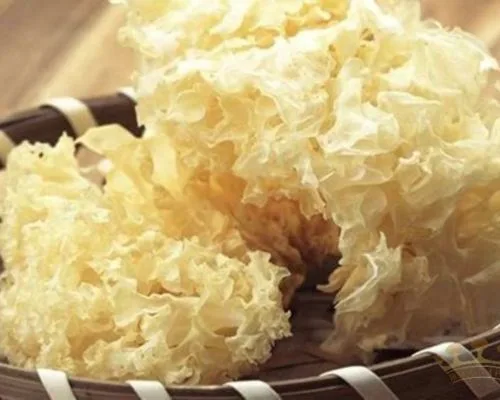 Đặc điểm nấm tuyết