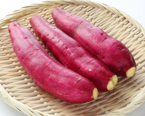 Khoai lang tác dụng cải thiện tóc và da