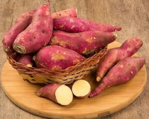 Khoai lang tác dụng phòng ung thư