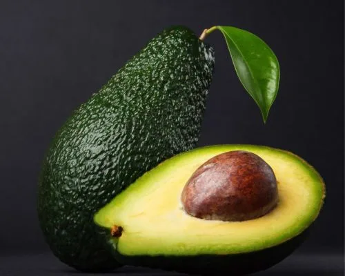 Hàm lượng dưỡng chất của bơ