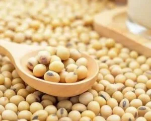 Công thức dưỡng trắng da, chống lão hóa từ mặt nạ đậu nành