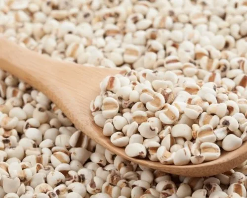 Hạt bo bo là gì?