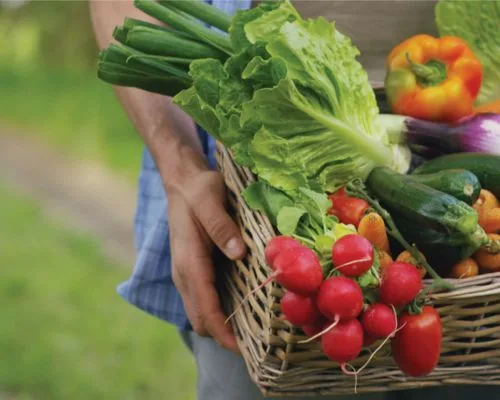 Các loại rau nên ăn vào buổi sáng