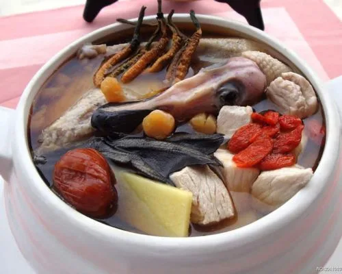 chim cút hầm đông trùng hạ thảo