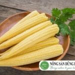 [ Mẹo văt] Ngô bao tử nấu món gì? Top 10 món ngon từ ngô bao tử