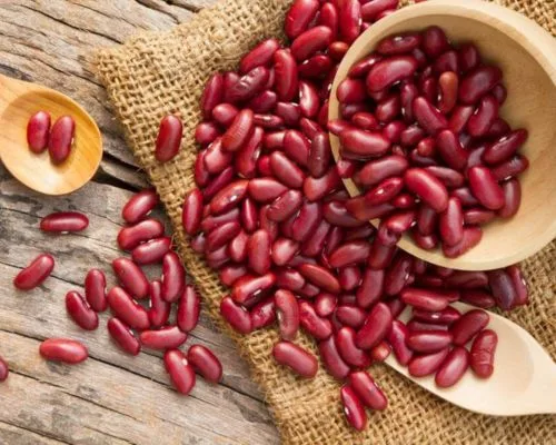 Công dụng của đậu đỏ