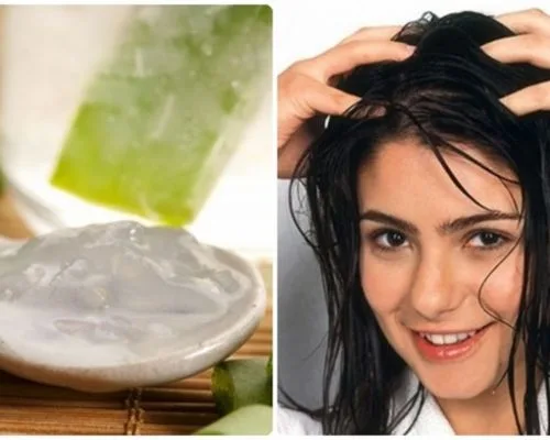 nha đam ủ tóc có tác dụng gì