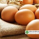 Cách bảo quản trứng gà tại nhà đúng cách – Lưu ý sử dụng
